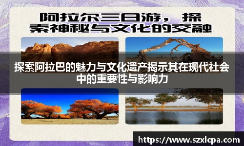 九州酷游bet9app